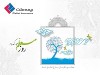استقبال معلمان بازنشسته از خدمات بیمه‌ای شرکت بیمه ملت